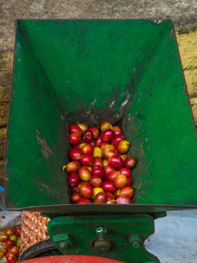 Kahve soyma makinesi.