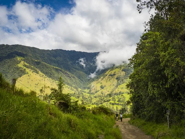 Cocora völgy táj Kolumbia — Stock Fotó