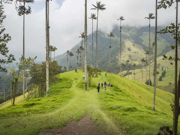 Valle del Cocora - Colombia, 4 de noviembre de 2019 - Turismo disfrutando en — Foto de Stock