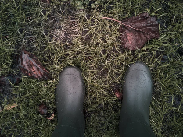 Wellington boots on the wet green grass with copy space