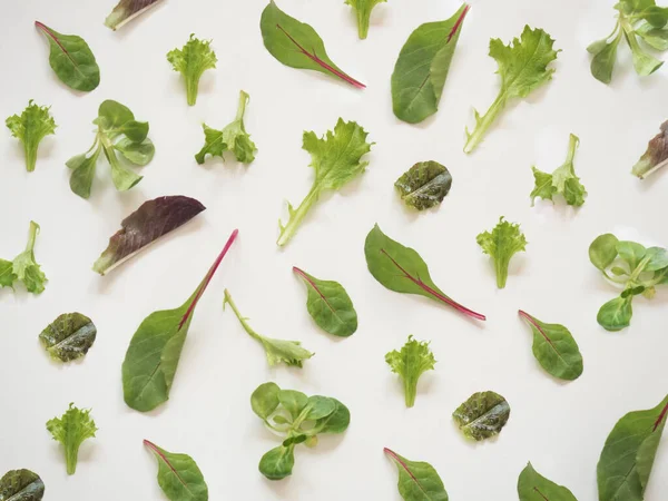 Vegetables pattern on white background