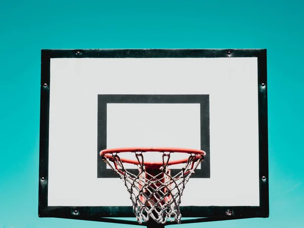 Basketball hoop on green background