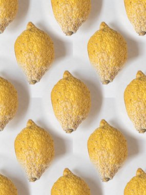 Beyaz arka planda çürük limon deseni