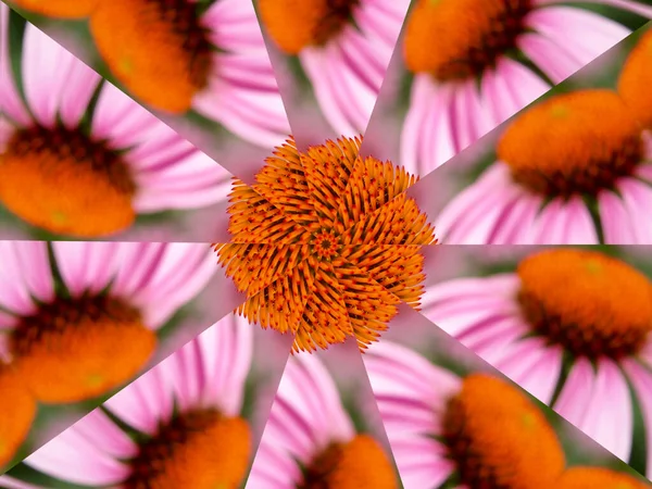 Розовый Оранжевый Калейдоскопический Фон — стоковое фото
