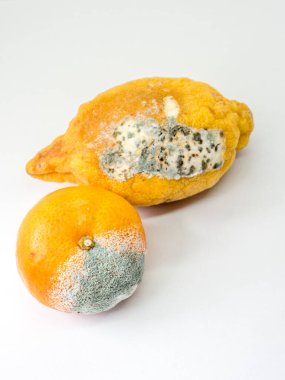 Beyaz arka planda çürük mandalina ve limon.