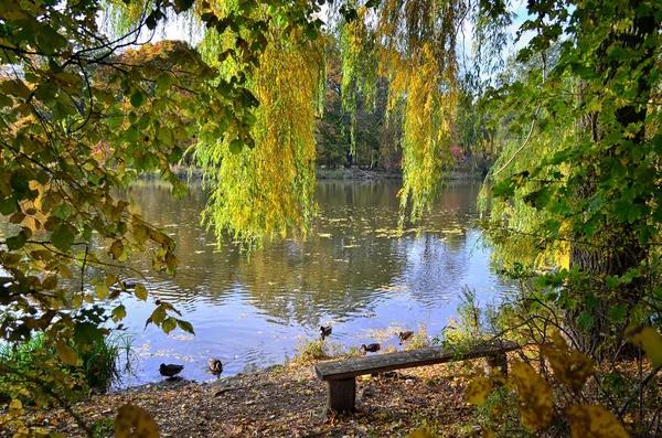 Polonya, Poznan, gölet Borusa