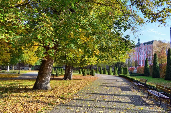 Polska, Poznań, Park Chopina — Zdjęcie stockowe