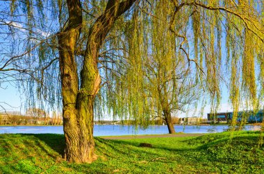 Polonya, Poznan, Malta bir göldür