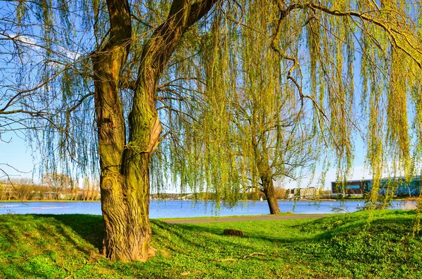 Polonya, Poznan, Malta bir göldür