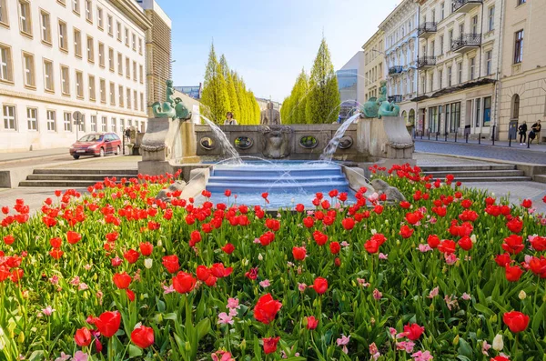 Polonia, Poznan, centro de la ciudad, Avenida de Marcinkowskiego —  Fotos de Stock