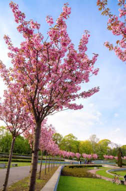 Poland, Poznan, Park Cytadela