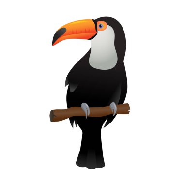 Beyaz arkaplanda izole edilmiş Toucan vektör sanatı.