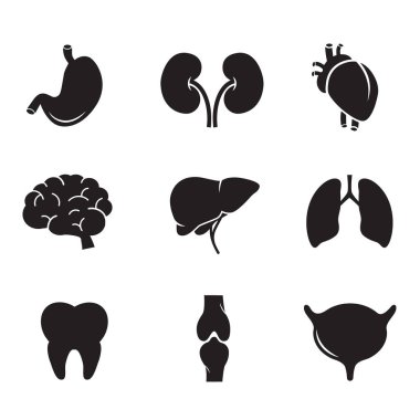 İnsan organ ikonu seti: mide, böbrek, kalp, beyin, karaciğer, akciğer, diş, kemik, mesane.