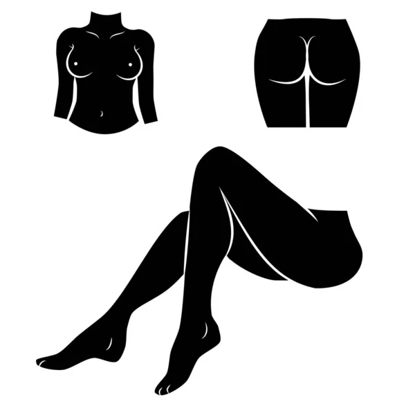 Arte Vectorial Silueta Del Cuerpo Femenino — Vector de stock