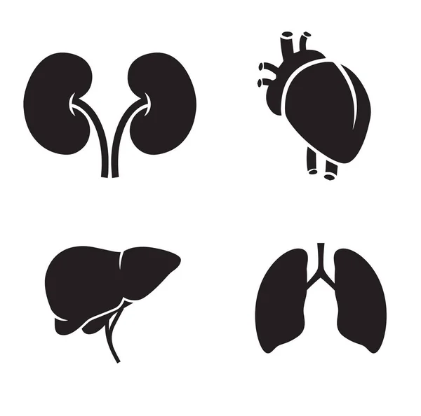 Karaciğer Kalp Böbrek Akciğer Nsan Vücudu Parçaları Organ Ikonu Seti — Stok Vektör