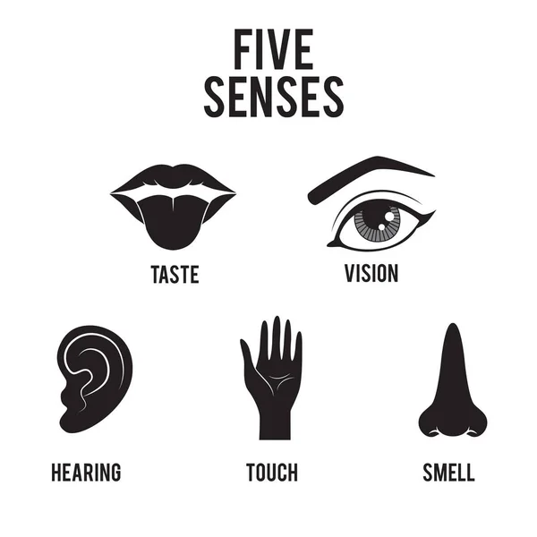 Beş duyu vektör simgesi belirlendi.