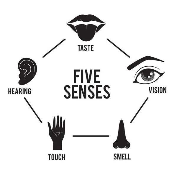 Beş duyu vektör simgesi belirlendi.