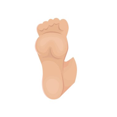 Human foot vector icon on neutral background.