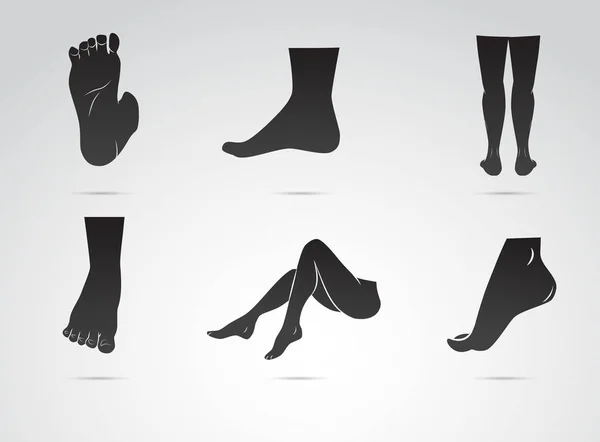 Human Legs Vector Icon Set — Stock Vector