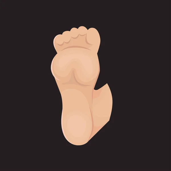 Human Foot Vector Icon Neutral Background — Stok Vektör