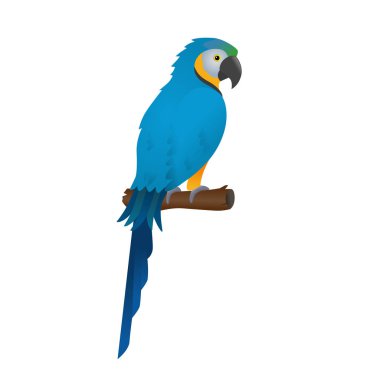 Parrot vector art on white.