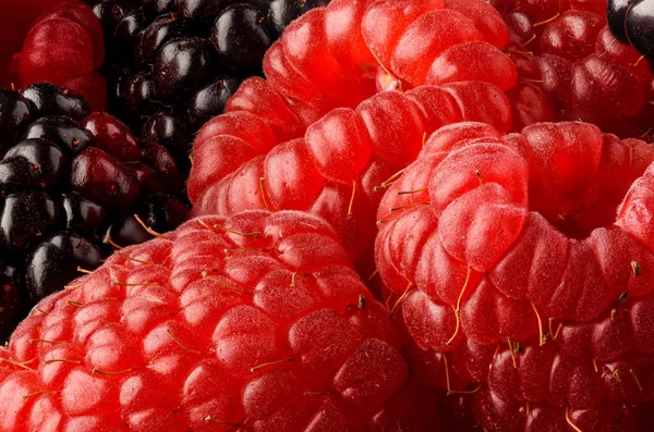 Raspberry dan campuran blackberry — Stok Foto