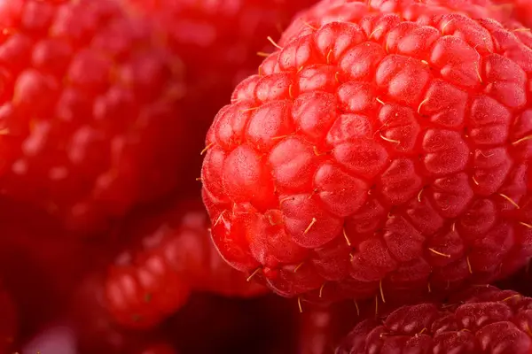 Raspberry latar belakang putih — Stok Foto