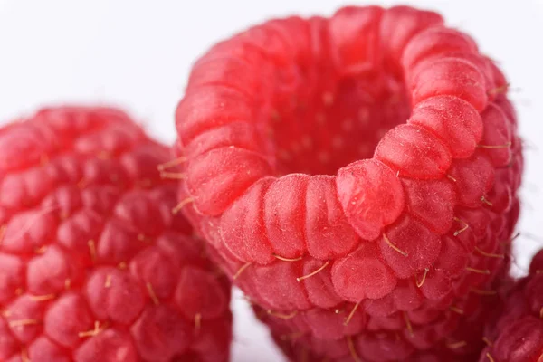 Penutup raspberry — Stok Foto