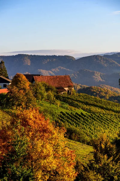 Autunno nella zona turistica della Stiria meridionale — Foto Stock