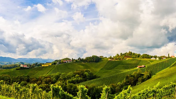 Áustria Vinhedos Leibnitz area south Styria travel spot — Fotografia de Stock