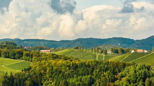 Austria Vigneti Leibnitz zona sud Stiria Viaggi — Foto Stock