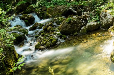 Styria tabiatı şelaleler