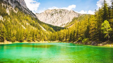 Gruner See, Avusturya Barışçıl dağ manzaralı Styria 'daki ünlü yeşil göl. Turkuaz yeşili su rengi. Seyahat hedefi