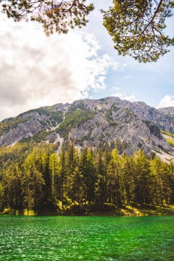 Gruner See, Avusturya Barışçıl dağ manzaralı Styria 'daki ünlü yeşil göl. Turkuaz yeşili su rengi. Seyahat hedefi