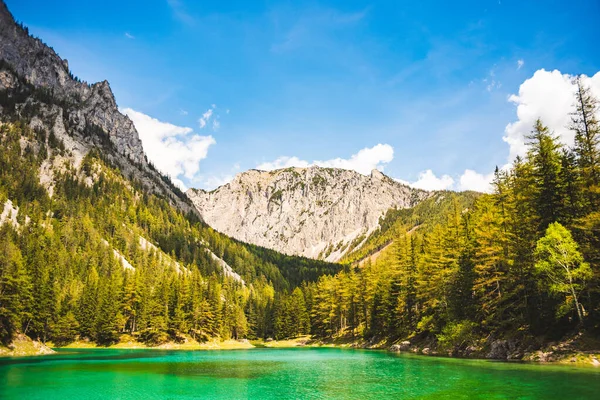 Gruner See, Austria Vista pacífica de la montaña con famoso lago verde en Estiria. Color verde turquesa del agua. Destino turístico — Foto de Stock