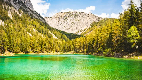 Gruner See, Rakousko Klidný pohled na hory se známým zeleným jezerem ve Štýrsku. Tyrkysově zelená barva vody. Cíl cesty — Stock fotografie