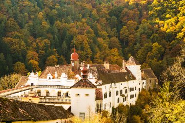 Stubenberg am See, Styria - Avusturya 22.10.2016: Avrupa 'daki Herberstein Sarayı. Bahçeler, turistik yerler..