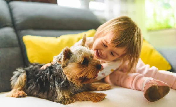 Barn med en york hund på en soffa — Stockfoto