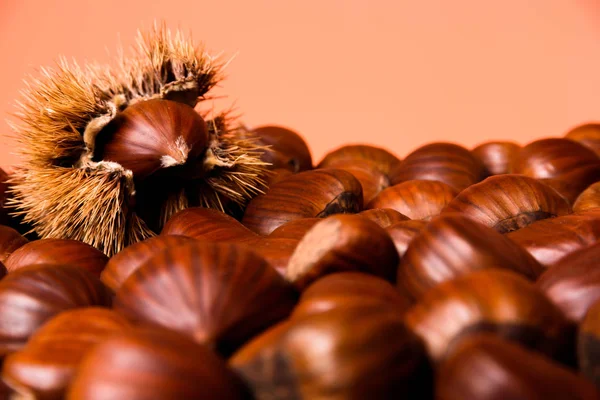 Las castañas maduras se acercan. Castañas crudas para Navidad. Castaño dulce fresco. Fondo alimenticio. Copiar espacio —  Fotos de Stock