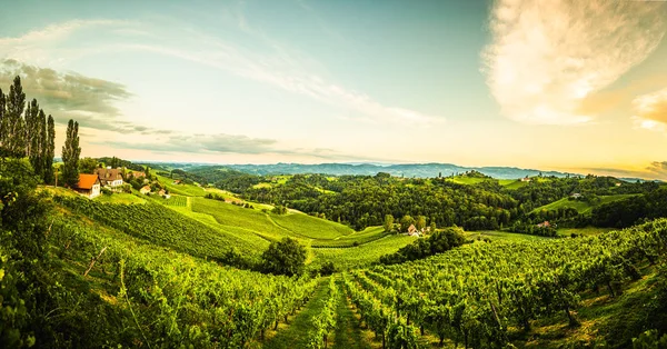 Vista de las colinas de uva austriacas desde la carretera del vino en verano. Destino turístico, lugar de viaje . — Foto de Stock