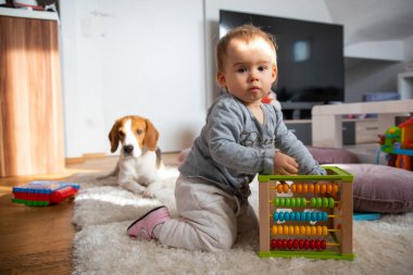 Bir yaşındaki bir bebeğin portresi parlak bir odada halıya oturmuş, av köpeğiyle kameraya bakıyor..