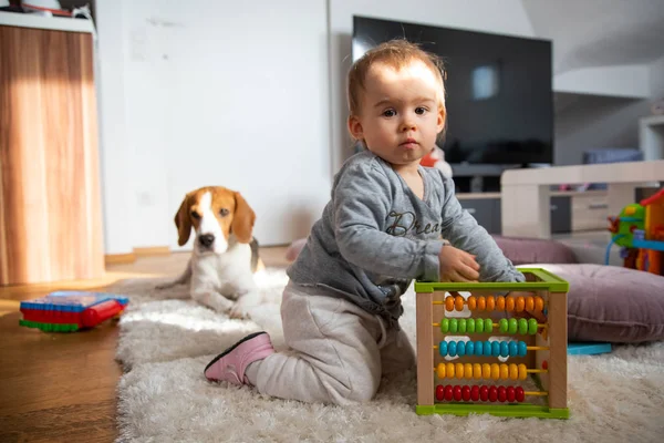 Портрет годовалого ребенка, сидящего на ковре в светлой комнате с собакой, смотрящей в камеру . — стоковое фото