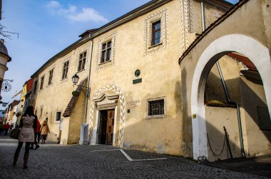 Durnstein ilkbaharın başlarında, Vaçu Vadisi, Avusturya Belediye Binası turizm beldesi