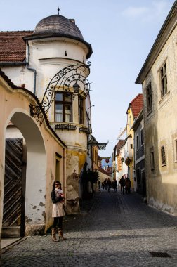 Durnstein ilkbaharın başlarında, Vaçu Vadisi, Avusturya Belediye Binası turizm beldesi