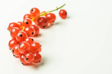 Beyaz arka planda kırmızı frenk üzümü. Boşluğu kopyala
