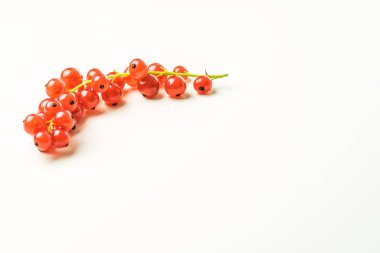 Beyaz arka planda kırmızı frenk üzümü. Boşluğu kopyala