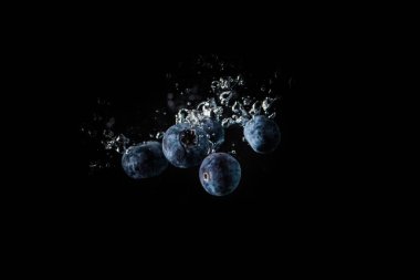 Yaban mersini bir su siyah içine düşen