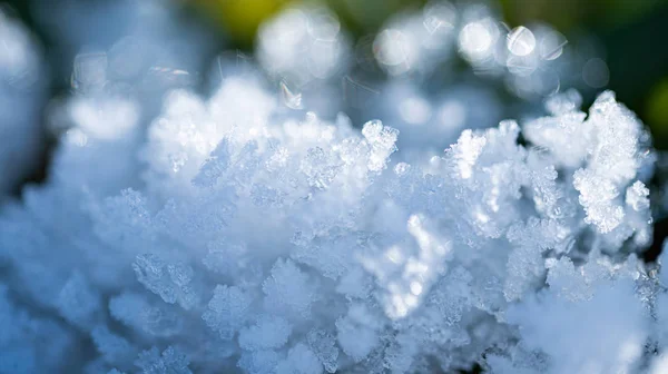 Fresh winter snow closeup of crystals. Shallow depth of field. Winter background — Stock Photo, Image