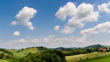 Austria, Slovenia Vineyards Sulztal, Herzerl Strasse