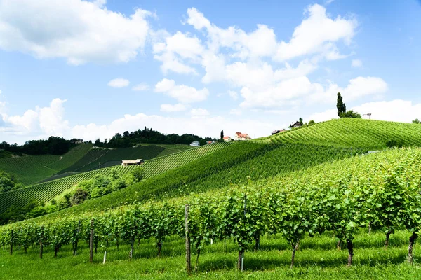 Австрия, Словения Виноградники Sulztal, Herzerl Strasse — стоковое фото